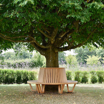 Tree Seat