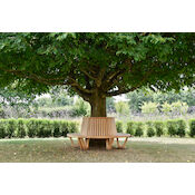 Tree Seat